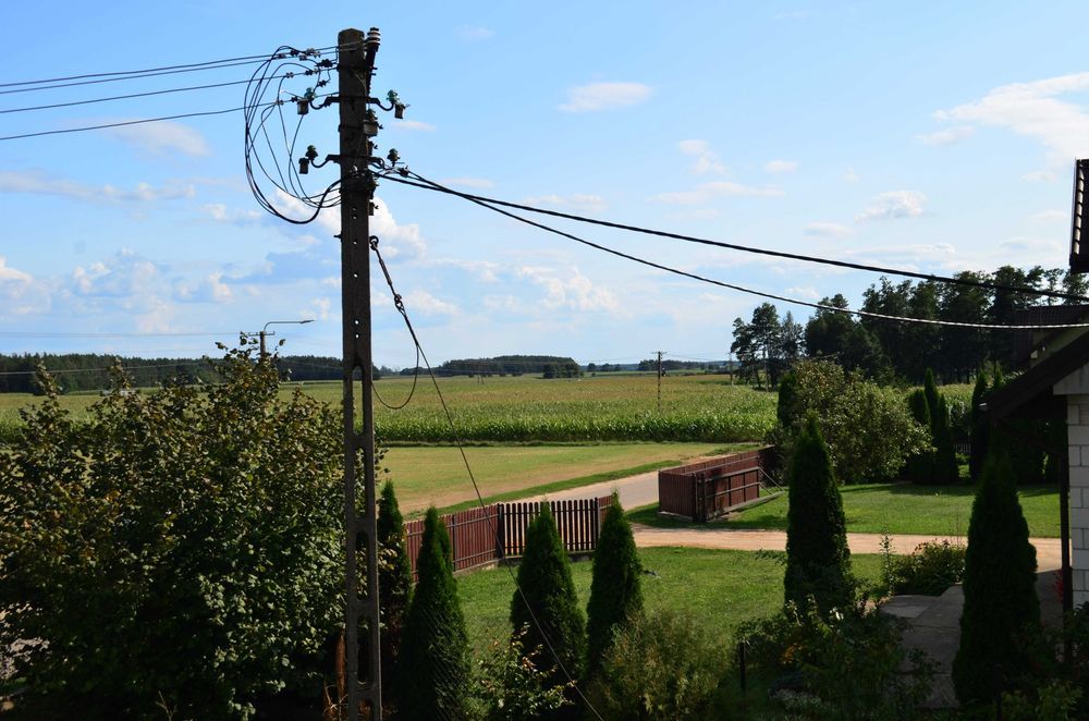 Działka siedliskowa Klimonty. Zdjęcie 4