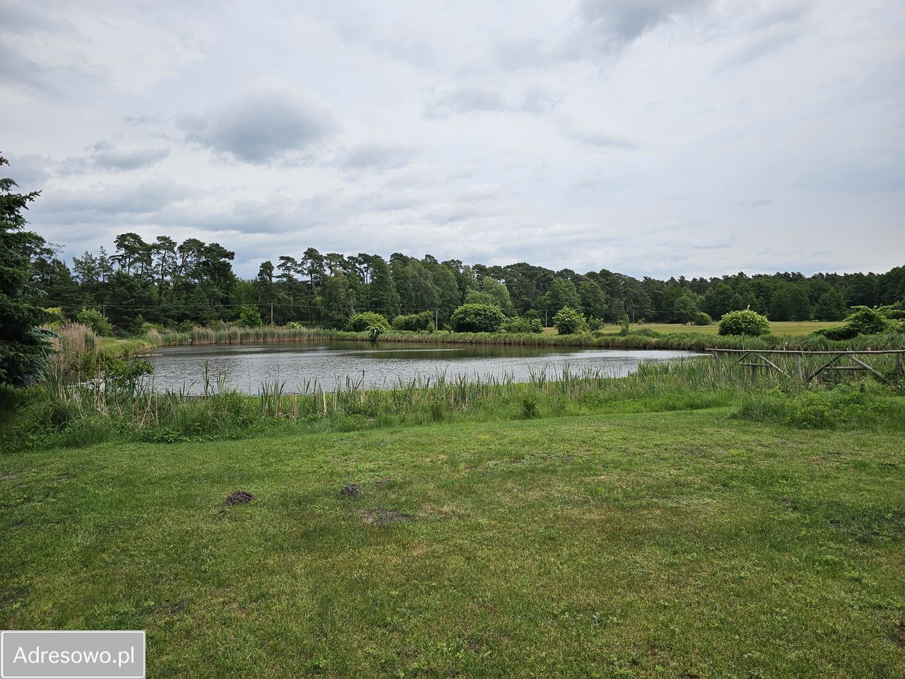 Działka budowlana Luciny, ul. Leśna
