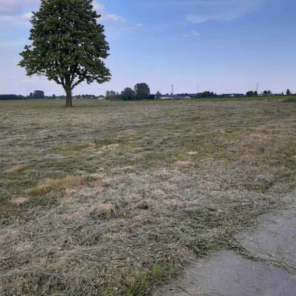 Działka budowlana Zdania. Zdjęcie 5