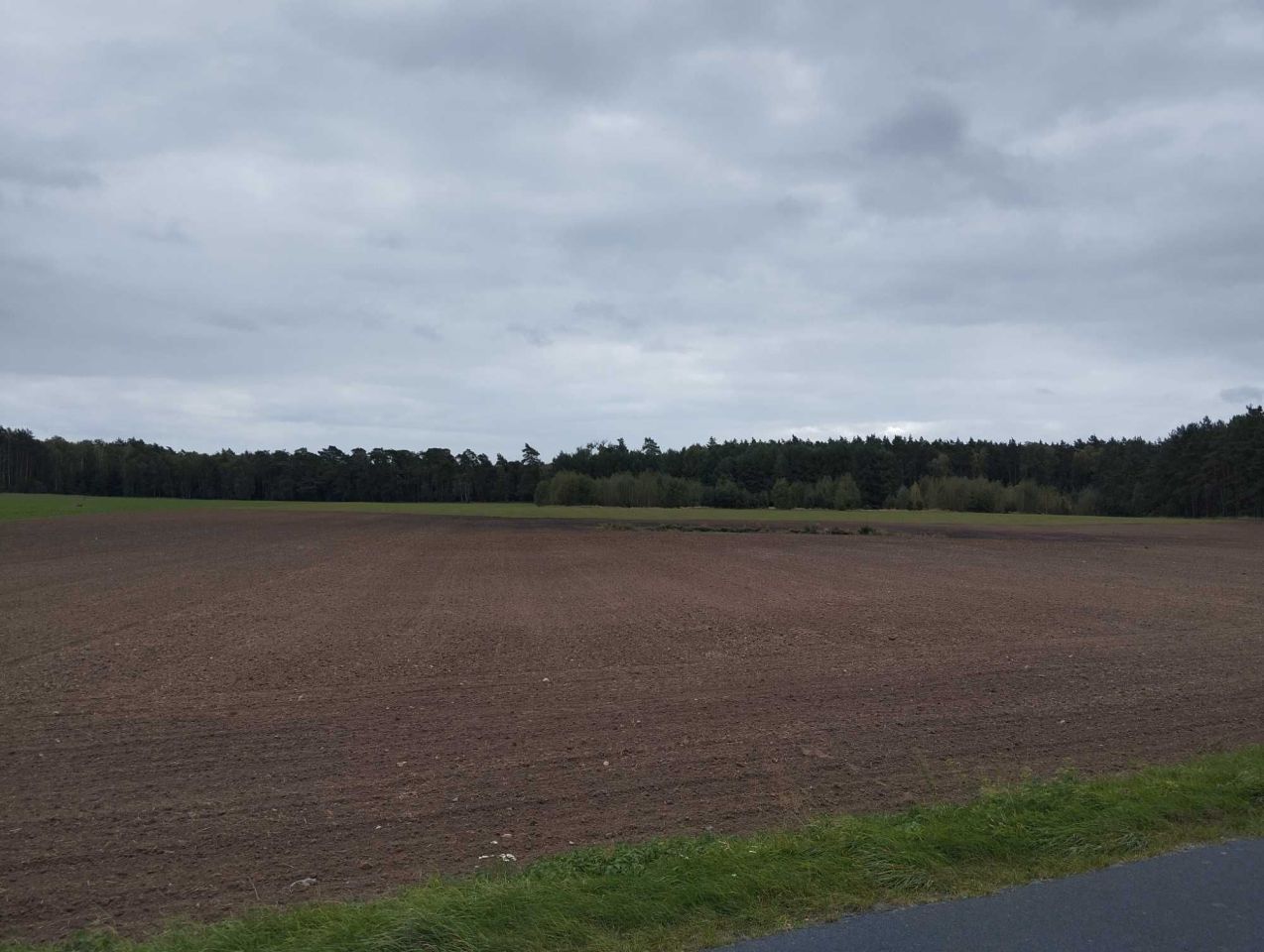 Działka rolna Komorzewo. Zdjęcie 2