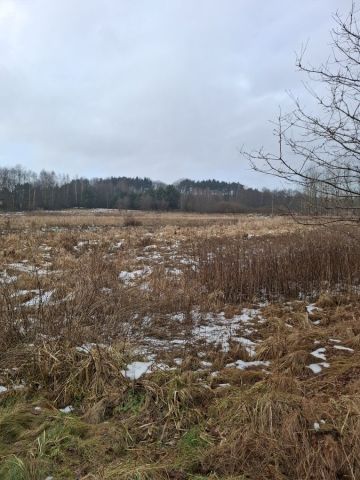 Działka rekreacyjna Jejkowice. Zdjęcie 1