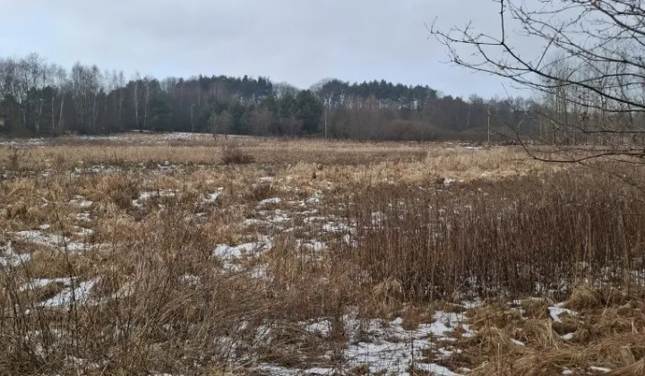 Działka rekreacyjna Jejkowice