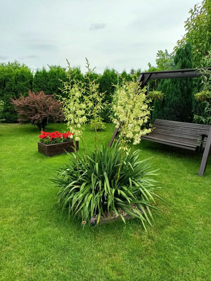 Działka rod Międzychód. Zdjęcie 7