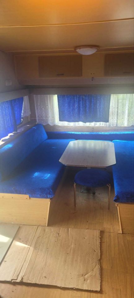 Działka rod Pełczyce. Zdjęcie 2