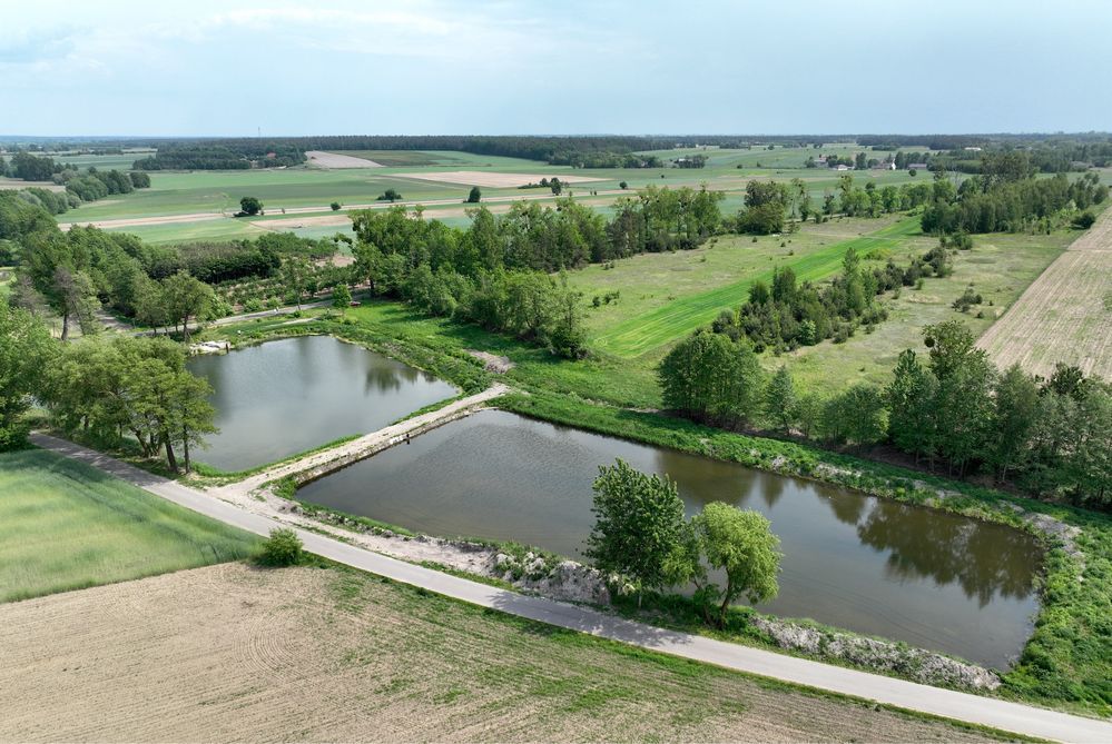 Działka siedliskowa Łaziska. Zdjęcie 4