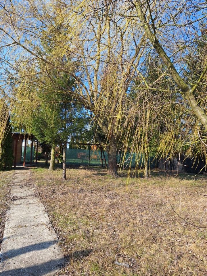 Działka rod Radzyń Chełmiński. Zdjęcie 8