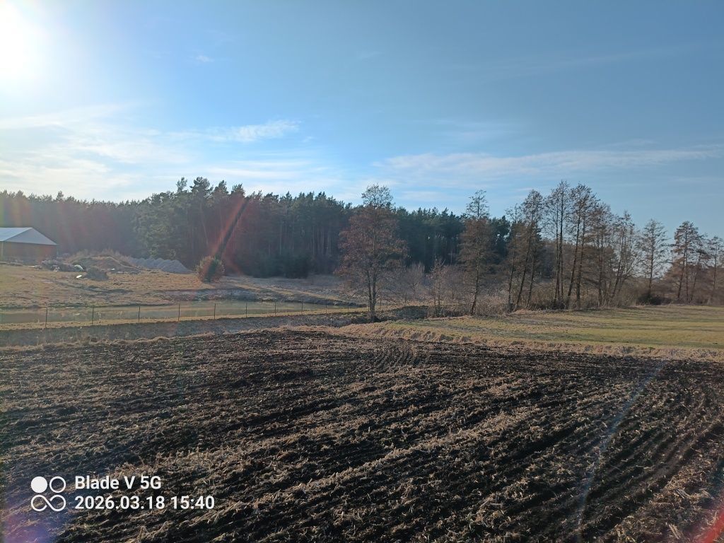 Działka rekreacyjna Małe Pułkowo. Zdjęcie 7