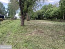 dom wolnostojący, 3 pokoje Palikówka. Zdjęcie 4