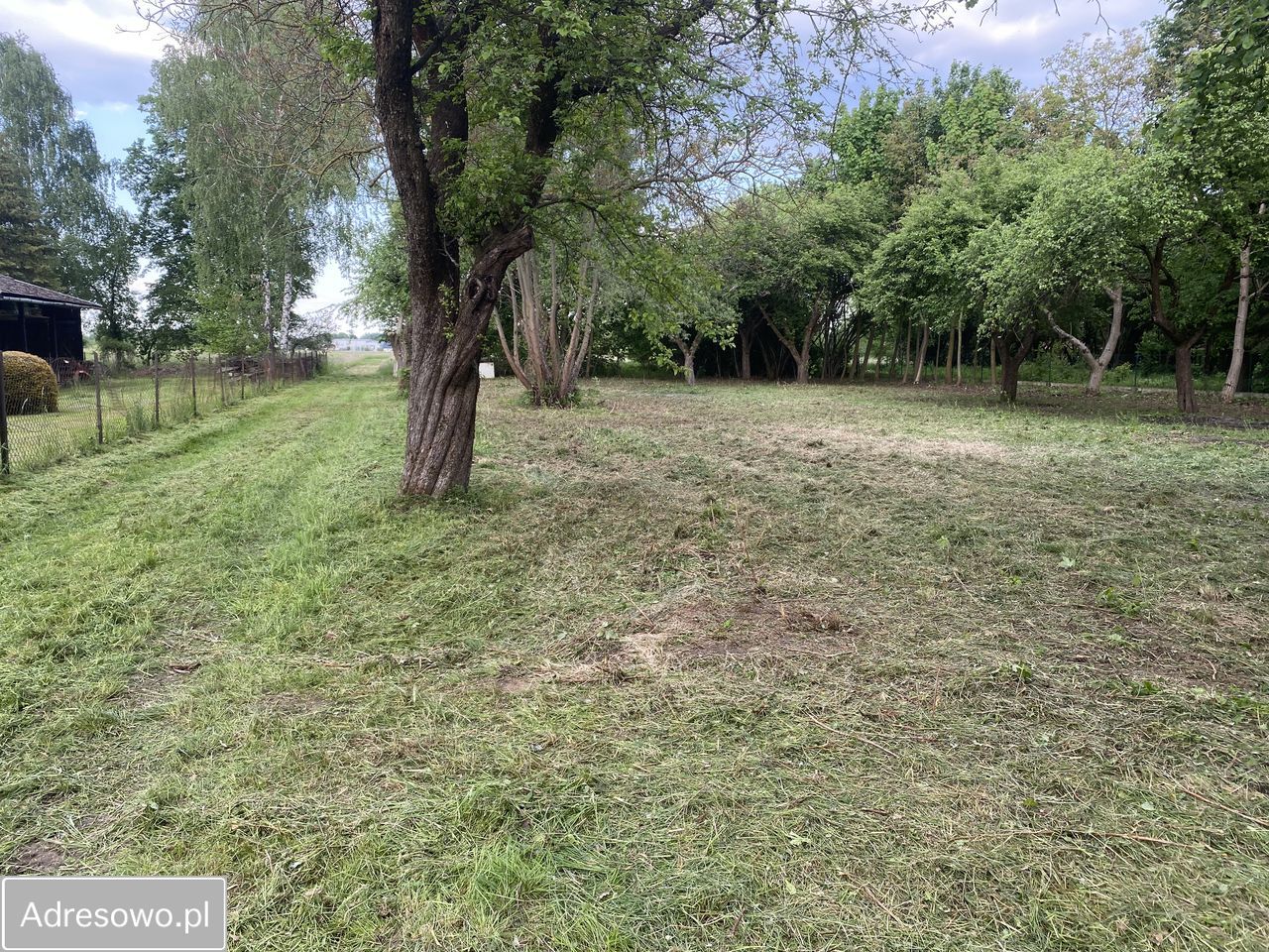 dom wolnostojący, 3 pokoje Palikówka. Zdjęcie 5