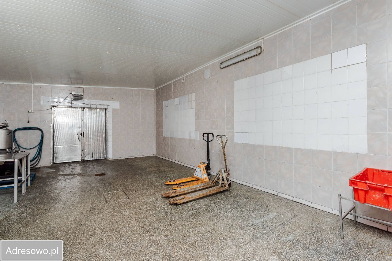 Hala/magazyn Międzychód. Zdjęcie 11