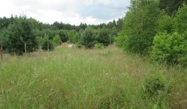 Działka budowlana Osowo Leśne