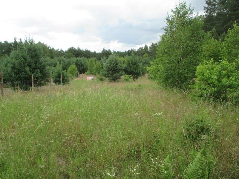 Działka budowlana Osowo Leśne