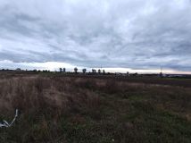 Działka rolno-budowlana Borzytuchom. Zdjęcie 3