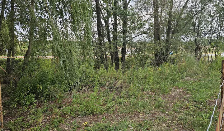 Działka budowlana Trąbki Zborówek