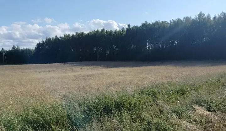 Działka rolno-budowlana Gady