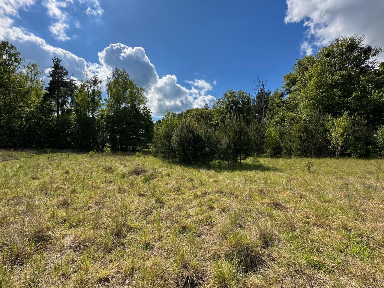 Działka budowlana Kleszczewo, ul. Skarszewska. Zdjęcie 9