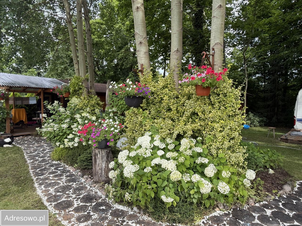 Działka budowlana Stare Kiejkuty. Zdjęcie 15