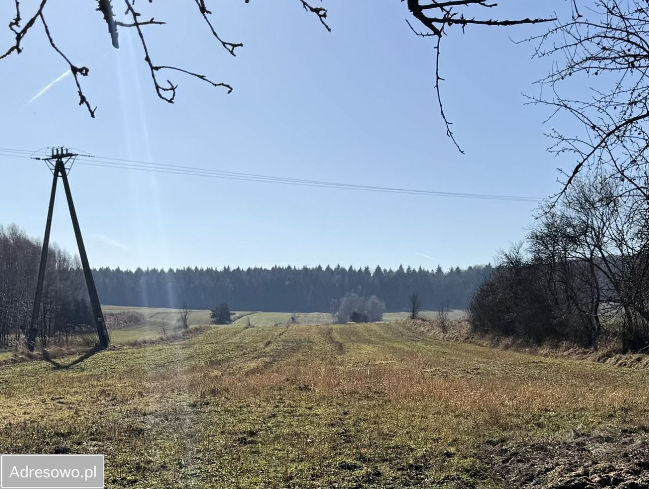 Działka rolno-budowlana Szypowice. Zdjęcie 1