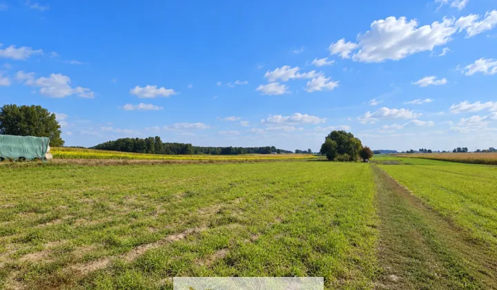 Działka budowlana Torzewo