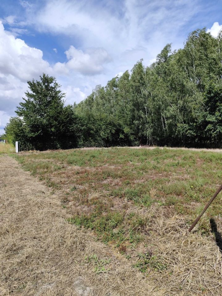 Działka rekreacyjna Majdan Zahorodyński. Zdjęcie 1