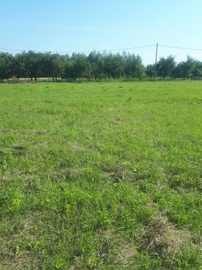 Działka rolna Tarnobrzeg Wielowieś, ul. Nowa. Zdjęcie 3