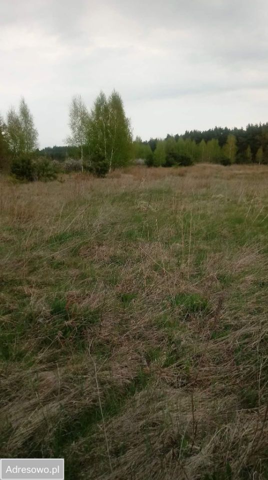 Działka budowlana Anielin Kępa. Zdjęcie 3