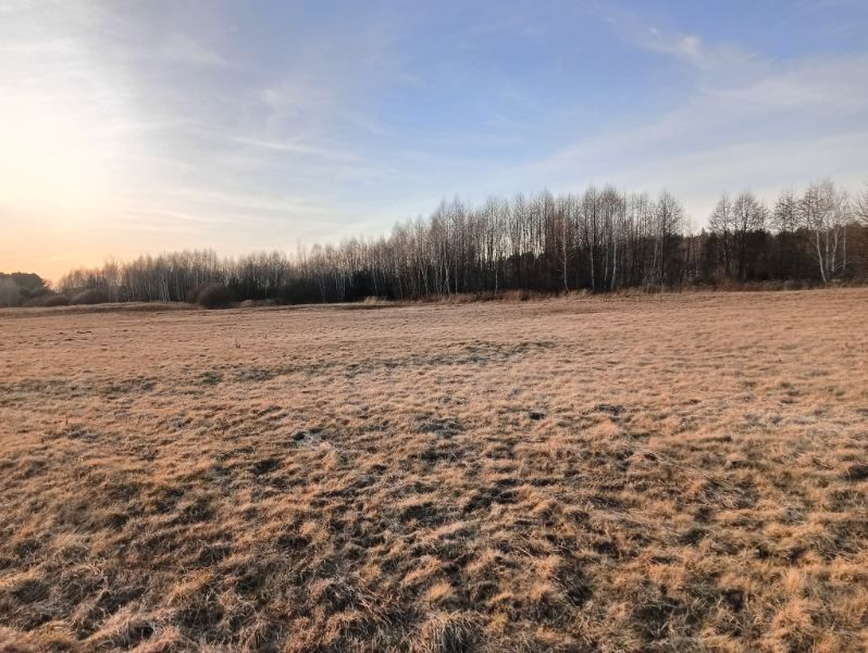 Działka inwestycyjna Czerce. Zdjęcie 2