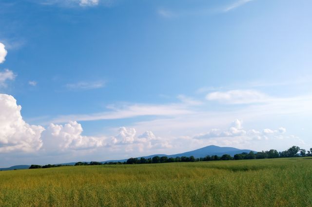 Działka budowlana Zachowice, ul. Różana. Zdjęcie 1