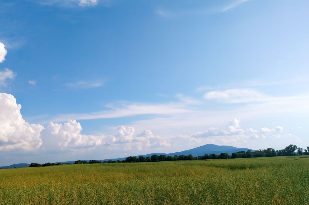 Działka budowlana Zachowice, ul. Różana