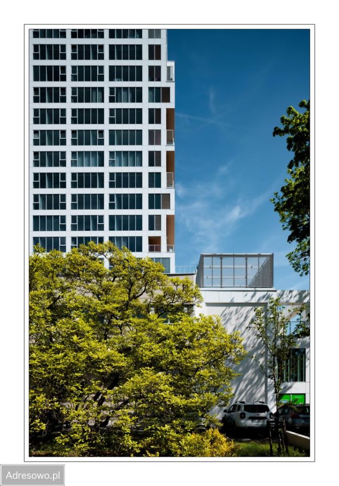 Mieszkanie 2-pokojowe Szczecin Śródmieście, ul. Mieczysława Niedziałkowskiego. Zdjęcie 2