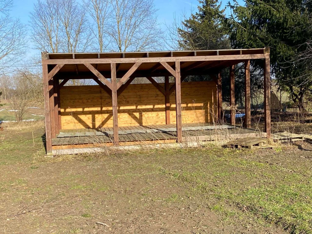 bliźniak Notyst Mały. Zdjęcie 7