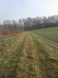 Działka rolna Tomaszowice-Kolonia. Zdjęcie 3