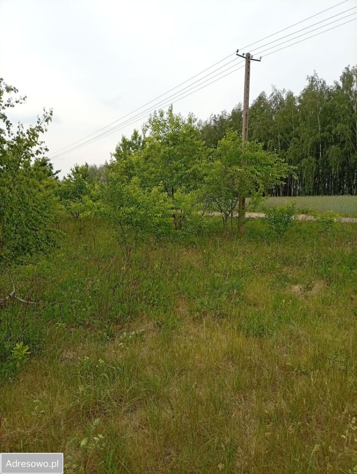Działka budowlana Nieborów, ul. Michała Piotra Radziwiłła. Zdjęcie 4