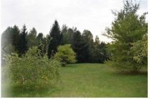 Działka rolno-budowlana Zapieczki. Zdjęcie 2