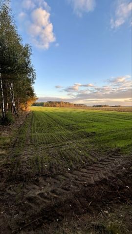 Działka rolno-budowlana Borowa. Zdjęcie 1