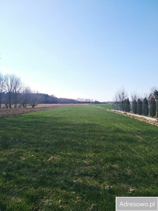 Działka budowlana Czermin. Zdjęcie 3