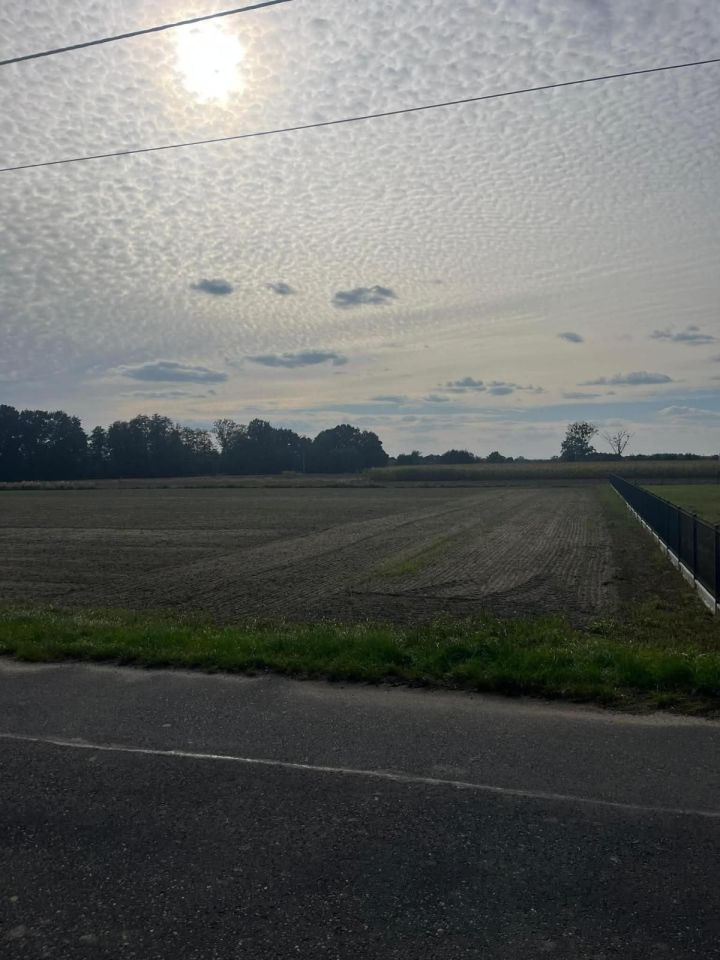 Działka budowlana Krępna. Zdjęcie 1