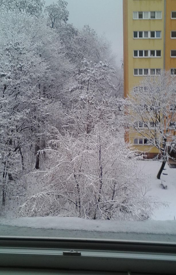 Mieszkanie 2-pokojowe Warszawa Wola, ul. Przy Lasku. Zdjęcie 14
