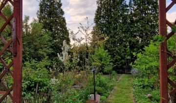 Działka rod Konin, ul. Świętojańska