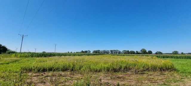 Działka budowlana Wilczków. Zdjęcie 1