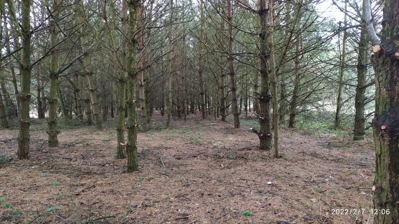 Działka rolna Bocheniec. Zdjęcie 5