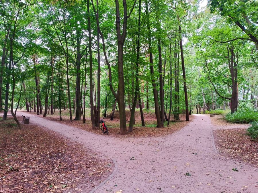 Mieszkanie 2-pokojowe Gdańsk Nowy Port, ul. Wyzwolenia. Zdjęcie 19