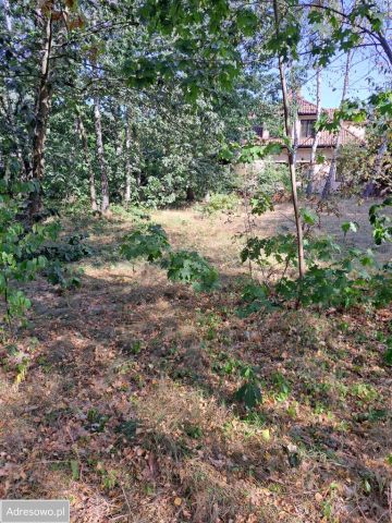 Działka inwestycyjna Warszawa Wawer, ul. Marty. Zdjęcie 1