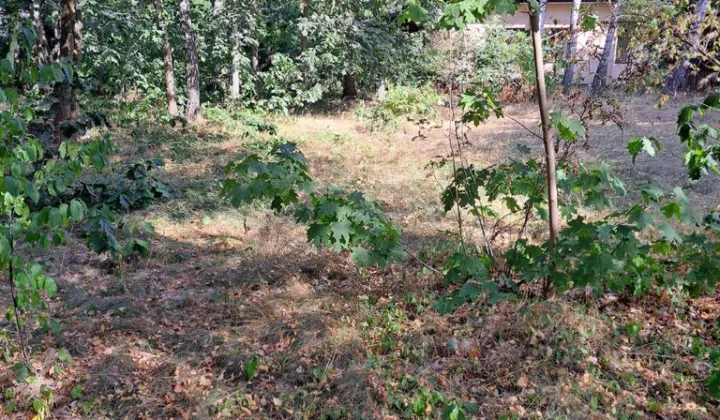 Działka inwestycyjna Warszawa Wawer, ul. Marty