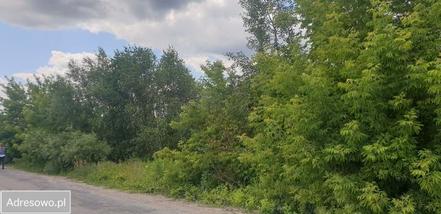 Działka inwestycyjna Serniki. Zdjęcie 1