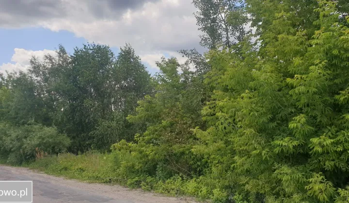 Działka inwestycyjna Serniki