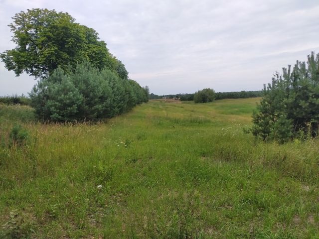 Działka budowlana Stara Dąbrowa. Zdjęcie 1