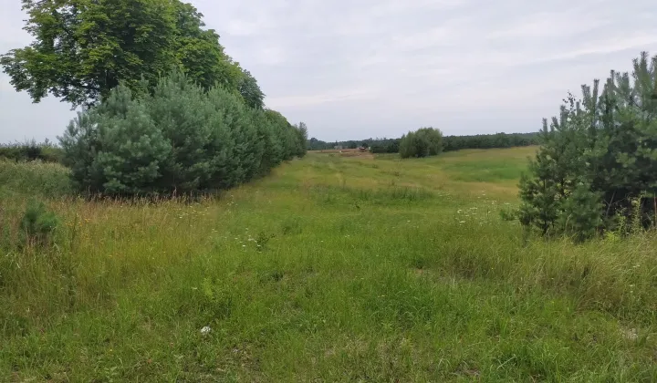 Działka budowlana Stara Dąbrowa