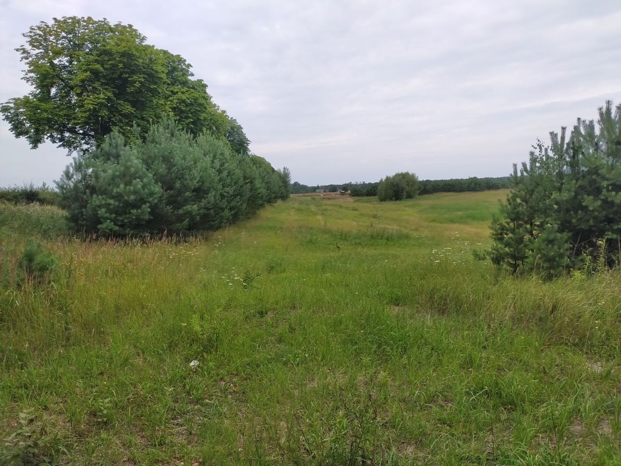 Działka budowlana Stara Dąbrowa. Zdjęcie 1