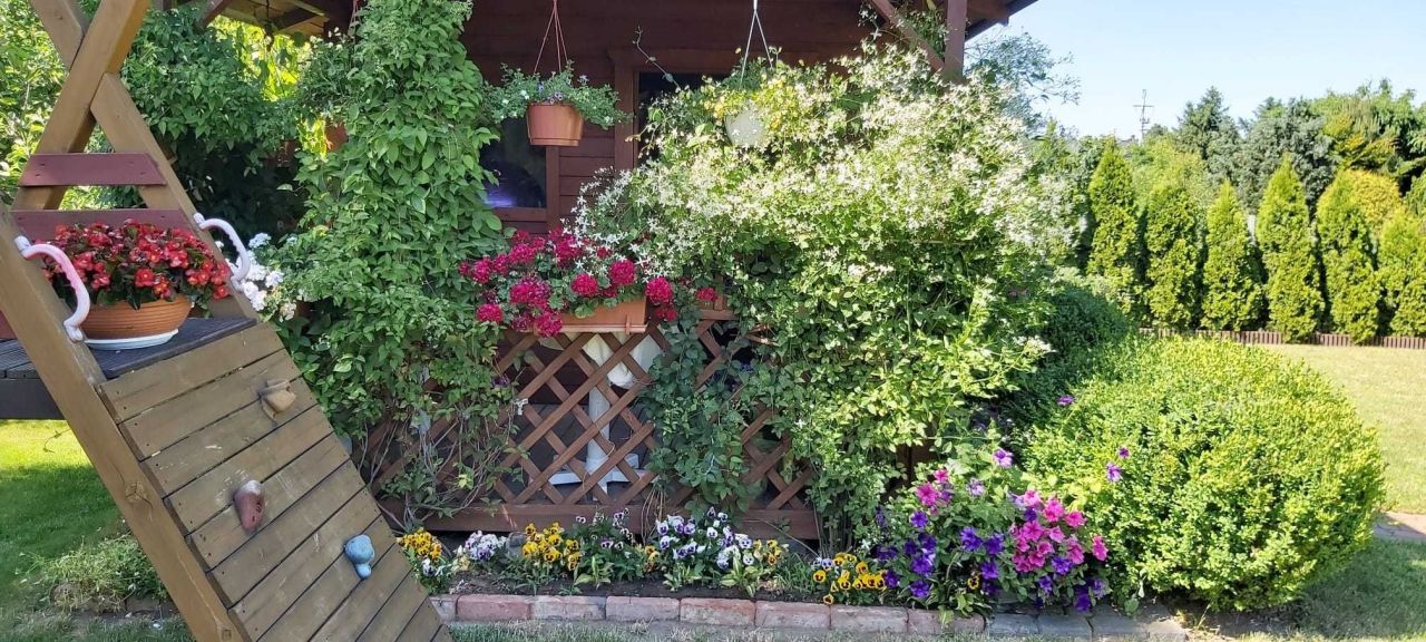 Działka rod Bydgoszcz Czyżkówko, ul. Siedlecka. Zdjęcie 8